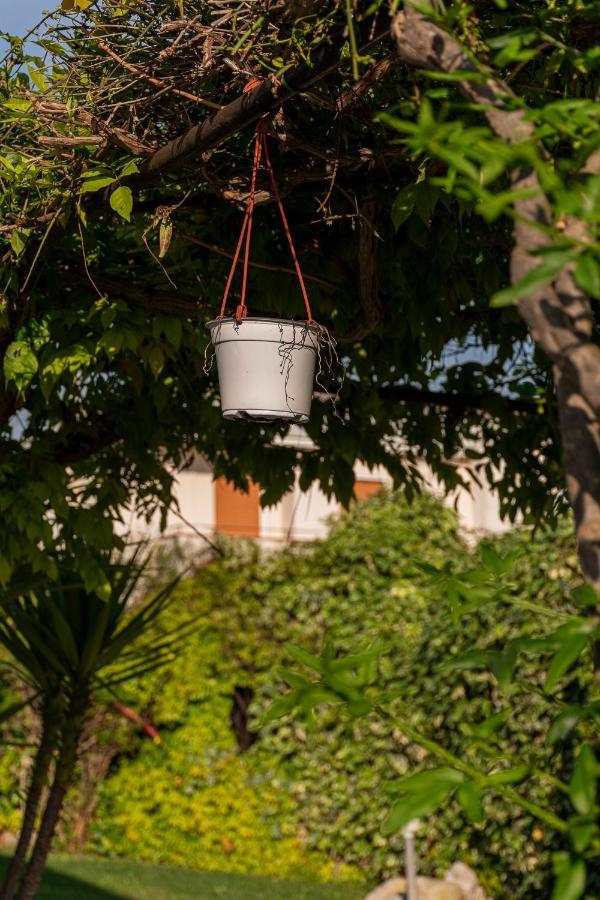 La Dimora Del Bue Apartment Matera Ngoại thất bức ảnh